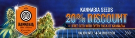 Offer Kannabia